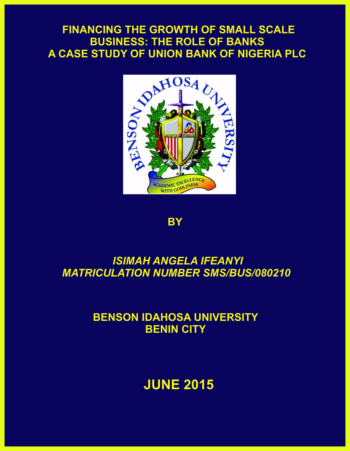 FINANCING THE GROWTH OF SMALL SCALE BUSINESS: THE ROLE OF BANKS A CASE STUDY OF UNION BANK OF NIGERIA PLC cover